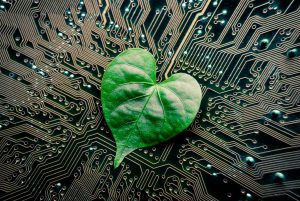A green leaf with a heart shape on a computer circuit board / green it / green computing / csr / it ethics